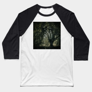 'Veneration', a notable beech tree, Highland Perthshire. Baseball T-Shirt